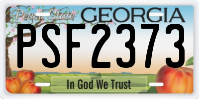 GA license plate PSF2373