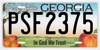 GA license plate PSF2375