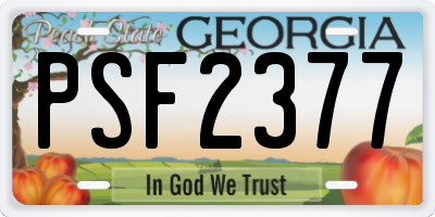 GA license plate PSF2377