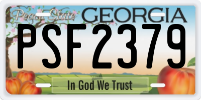 GA license plate PSF2379