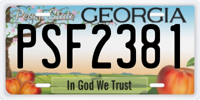 GA license plate PSF2381