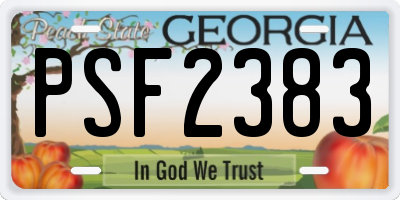 GA license plate PSF2383