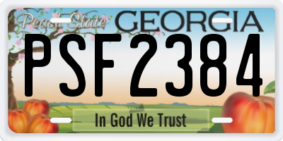 GA license plate PSF2384