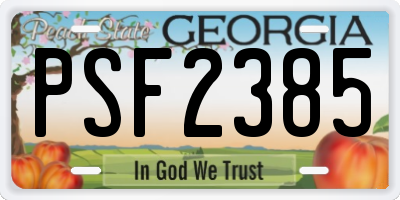 GA license plate PSF2385