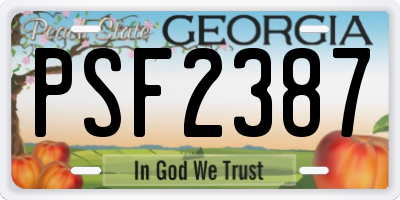 GA license plate PSF2387