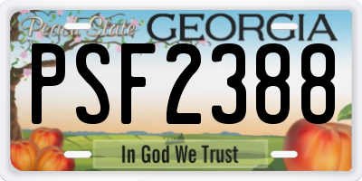 GA license plate PSF2388
