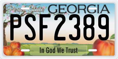 GA license plate PSF2389