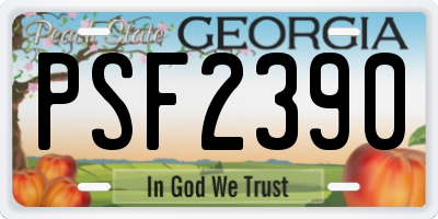 GA license plate PSF2390