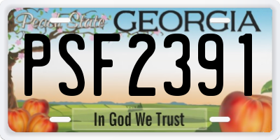 GA license plate PSF2391