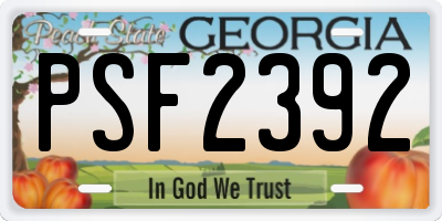 GA license plate PSF2392