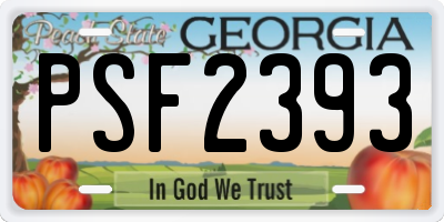 GA license plate PSF2393
