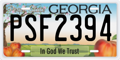 GA license plate PSF2394