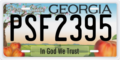 GA license plate PSF2395
