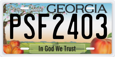 GA license plate PSF2403