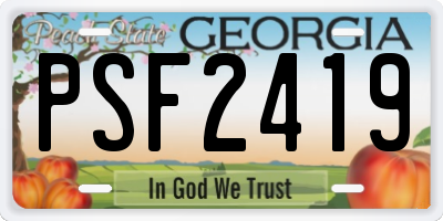 GA license plate PSF2419