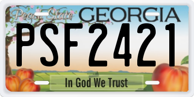 GA license plate PSF2421