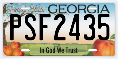 GA license plate PSF2435