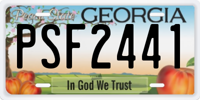 GA license plate PSF2441