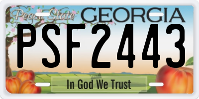 GA license plate PSF2443