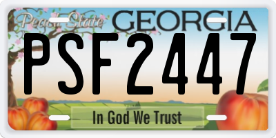 GA license plate PSF2447