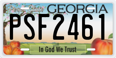 GA license plate PSF2461