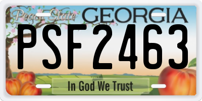 GA license plate PSF2463