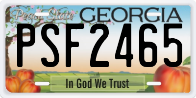 GA license plate PSF2465