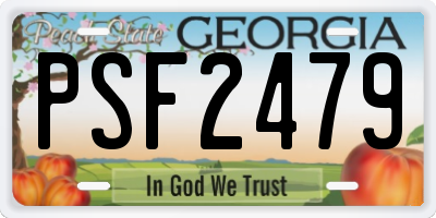 GA license plate PSF2479