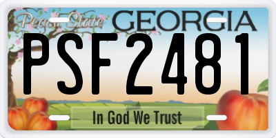 GA license plate PSF2481