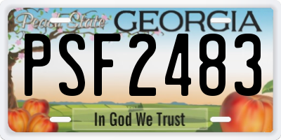 GA license plate PSF2483