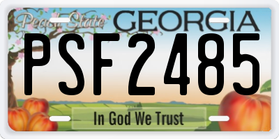 GA license plate PSF2485