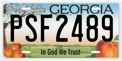 GA license plate PSF2489