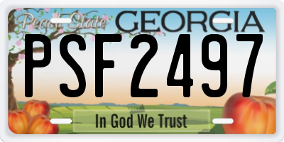 GA license plate PSF2497
