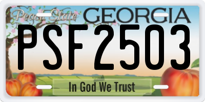 GA license plate PSF2503