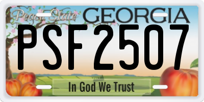 GA license plate PSF2507