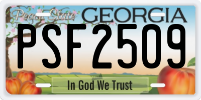 GA license plate PSF2509