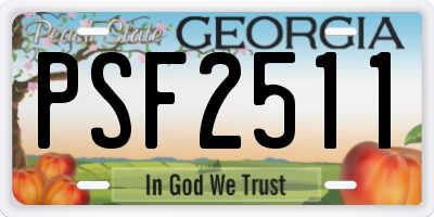 GA license plate PSF2511