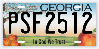 GA license plate PSF2512