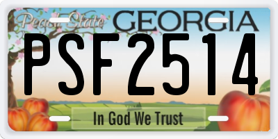 GA license plate PSF2514