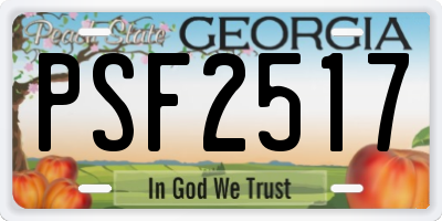 GA license plate PSF2517