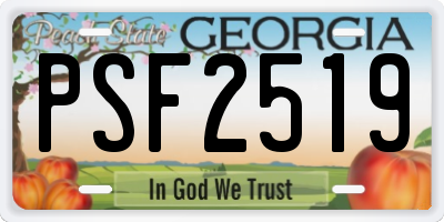 GA license plate PSF2519