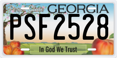 GA license plate PSF2528