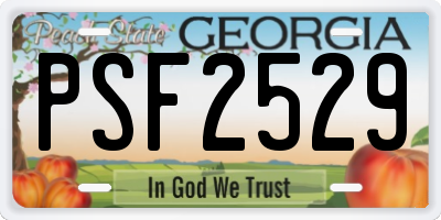 GA license plate PSF2529