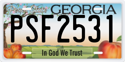 GA license plate PSF2531