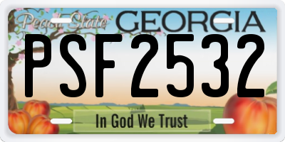 GA license plate PSF2532
