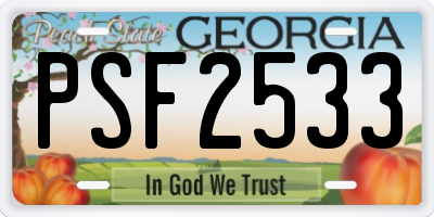 GA license plate PSF2533