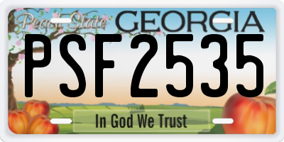 GA license plate PSF2535