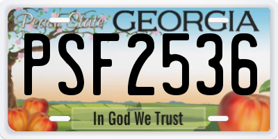 GA license plate PSF2536