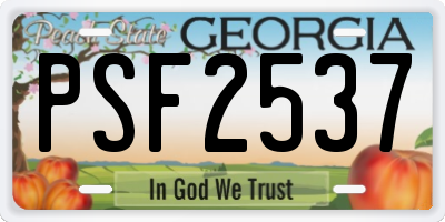 GA license plate PSF2537
