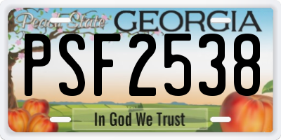 GA license plate PSF2538